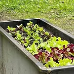 Wasserfall * メラウ