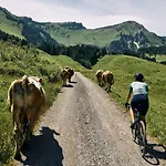 Wasserfall アパート *