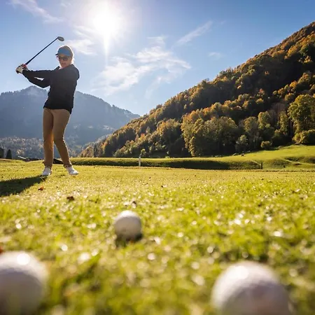 Wasserfall Appartement Mellau